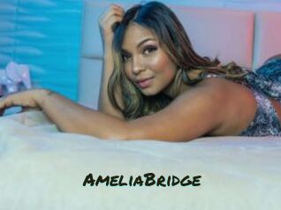 AmeliaBridge