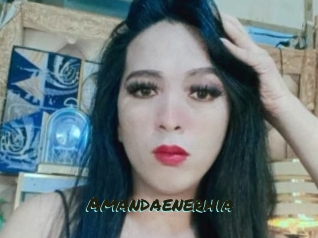 Amandaenerhia