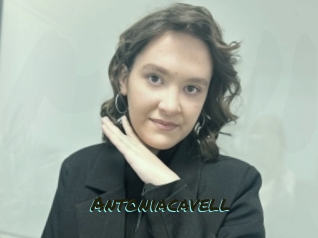 Antoniacavell