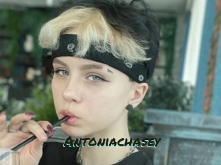 Antoniachasey