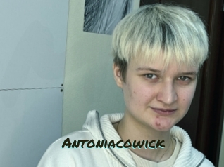 Antoniacowick