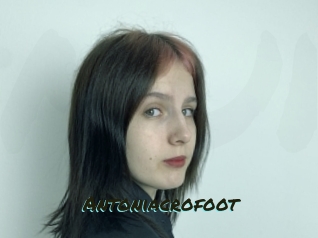 Antoniacrofoot
