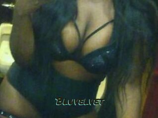 Bluvelvet
