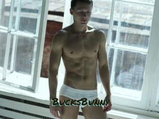 BucksBunny