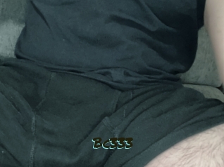 Bc333