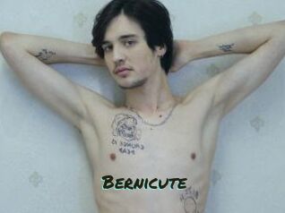 Bernicute