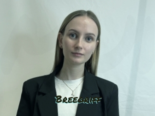 Breegriff