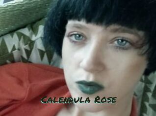 Calendula_Rose