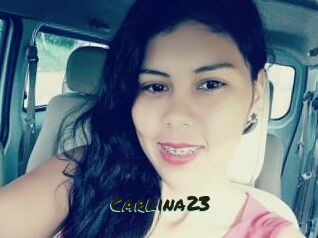 Carlina23