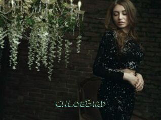 ChloeBird