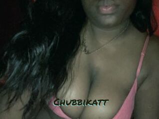 Chubbikatt