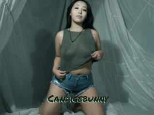 Candicebunny
