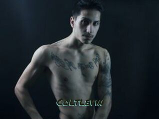 Coltlevin