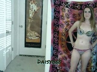 Daisybee