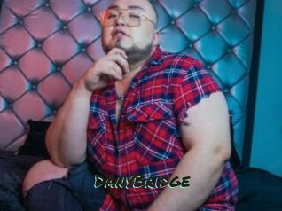 DanyBridge