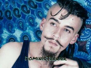 DominicTerrier