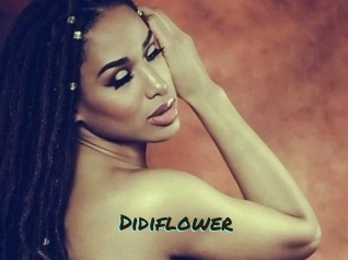 Didiflower