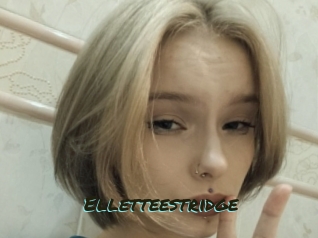 Elletteestridge