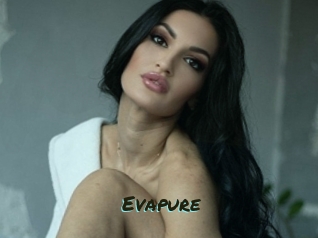 Evapure