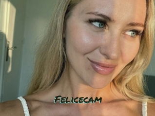 Felicecam