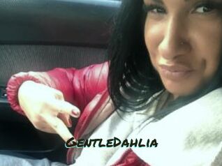 GentleDahlia