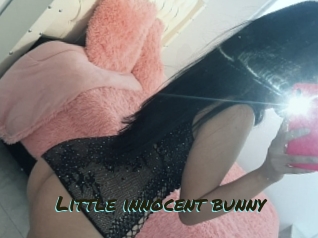 Little_innocent_bunny