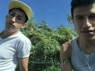 Malehotboys