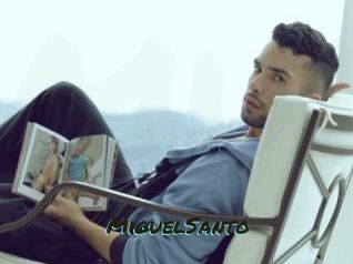 MiguelSanto