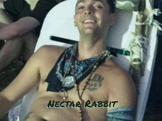 Nectar_Rabbit