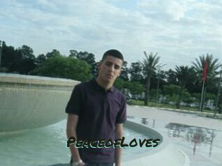 PeaceofLoves