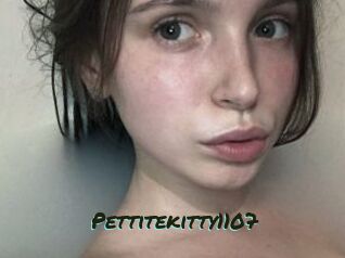 Pettitekitty1107