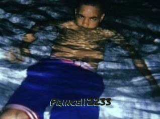 Prince112233
