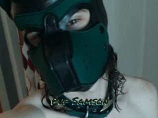 Pup_Samson