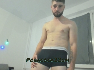 Porncock22cm