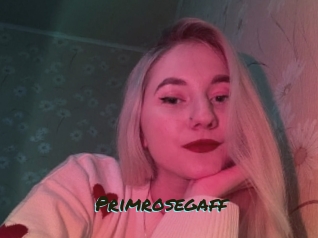 primrosegaff Muhyoo Adult