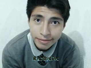 Rics_bic_Dic