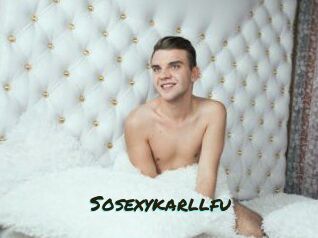 Sosexykarllfu