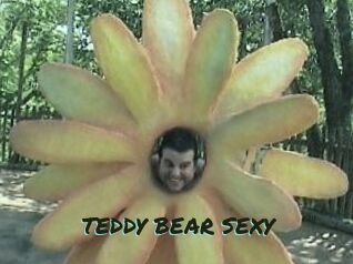 TEDDY_BEAR_SEXY