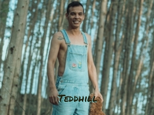 Teddhill