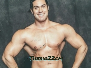 Thebig22cm