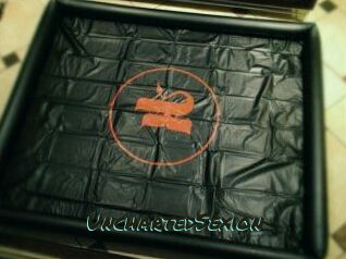 UnchartedSexion