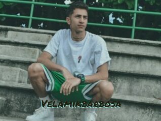Velamikbarbosa
