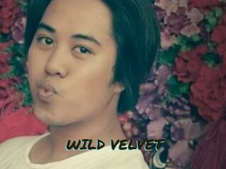 WILD_VELVET