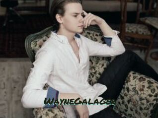 WayneGalager