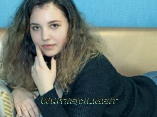 Whitneydiligent