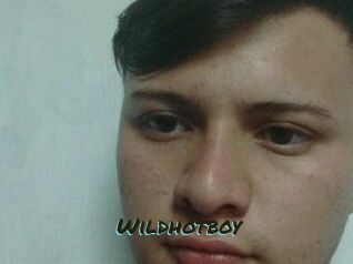 Wild_hotboy