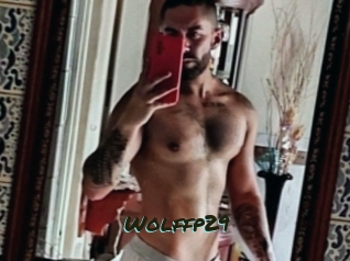 Wolffp29