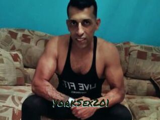 YorkSex201