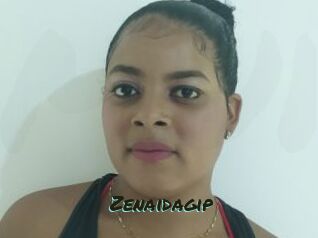 Zenaidagip