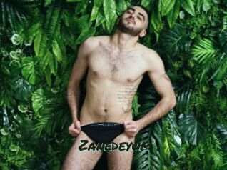 Zanedeyum